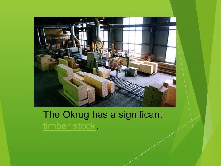 The Okrug has a significant timber stock.