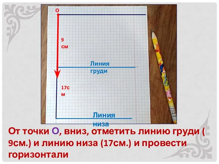 От точки О, вниз, отметить линию груди ( 9см.) и линию низа