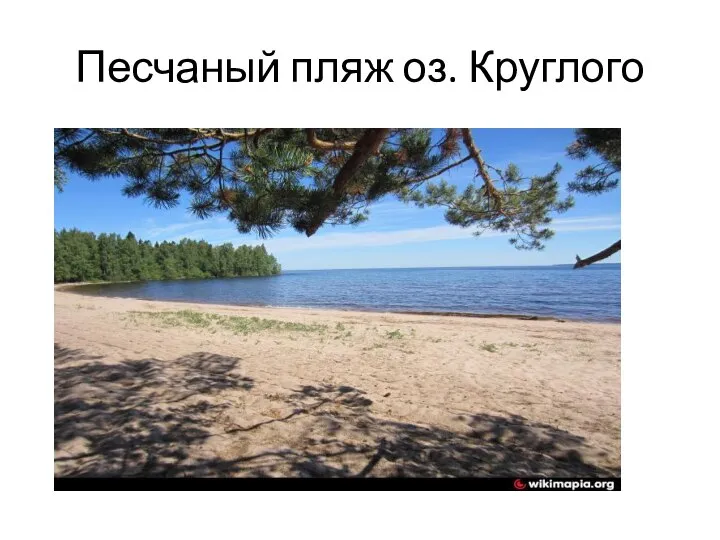 Песчаный пляж оз. Круглого