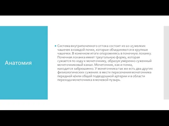 Анатомия Система внутрипочечного оттока состоит из 10-25 мелких чашечек в каждой почке,