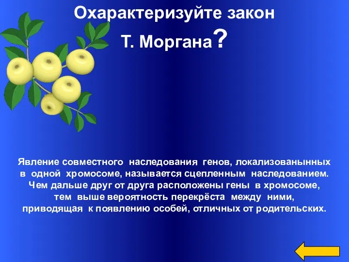 Охарактеризуйте закон Т. Моргана? Явление совместного наследования генов, локализованынных в одной хромосоме,