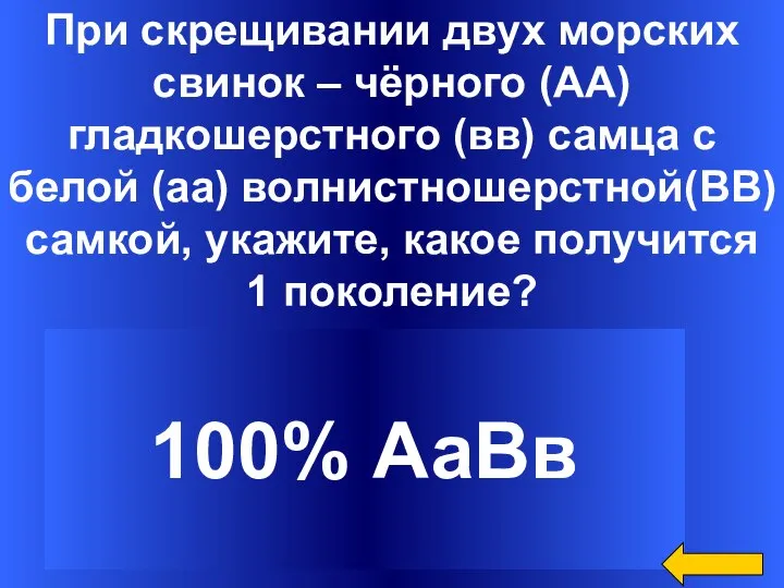 При скрещивании двух морских свинок – чёрного (АА) гладкошерстного (вв) самца с