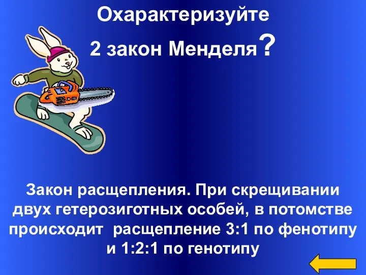 Охарактеризуйте 2 закон Менделя? Закон расщепления. При скрещивании двух гетерозиготных особей, в