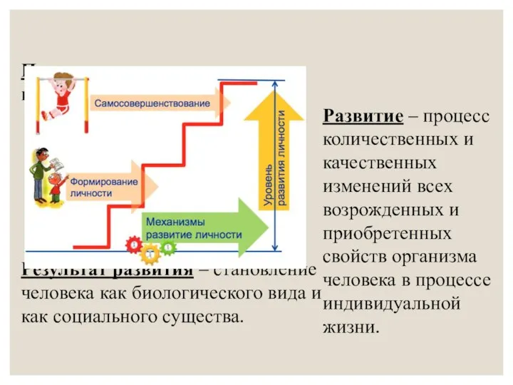 Процесс – движение вперед, изменение. Результат развития – становление человека как биологического