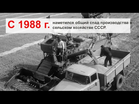 С 1988 г. наметился общий спад производства в сельском хозяйстве СССР.