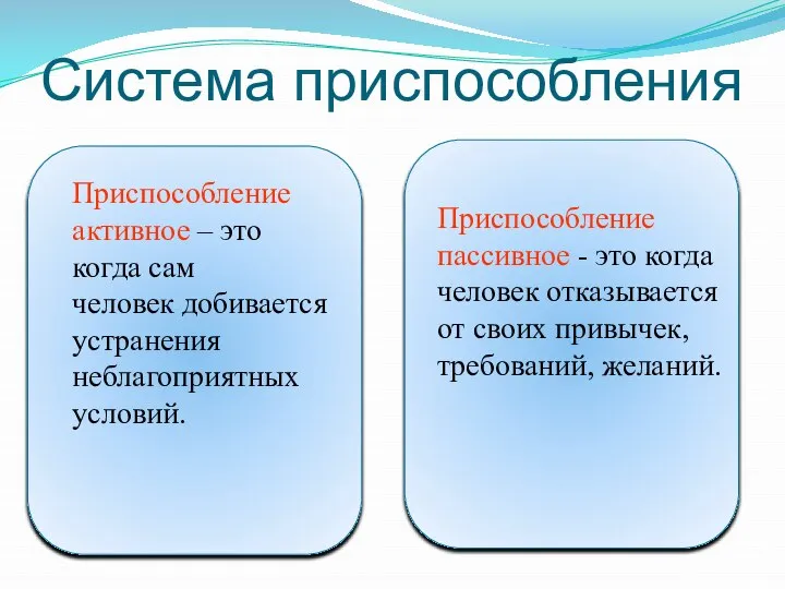 Система приспособления Приспособление активное – это когда сам человек добивается устранения неблагоприятных