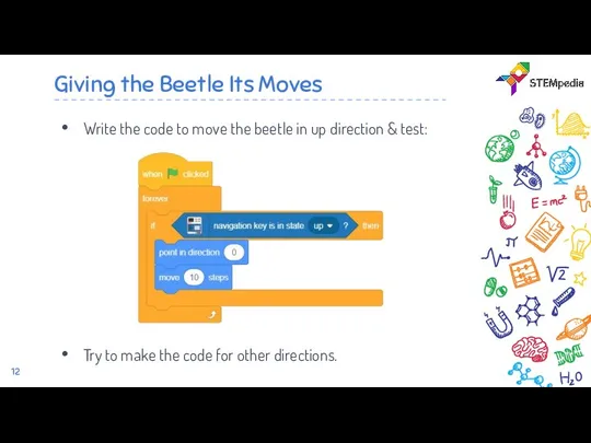 Giving the Beetle Its Moves Write the code to move the beetle