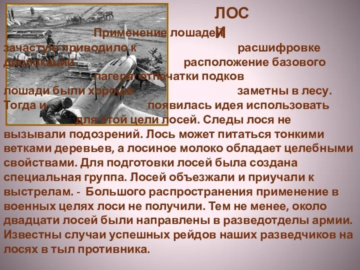 Применение лошадей зачастую приводило к расшифровке дислокации расположение базового лагеря: отпечатки подков