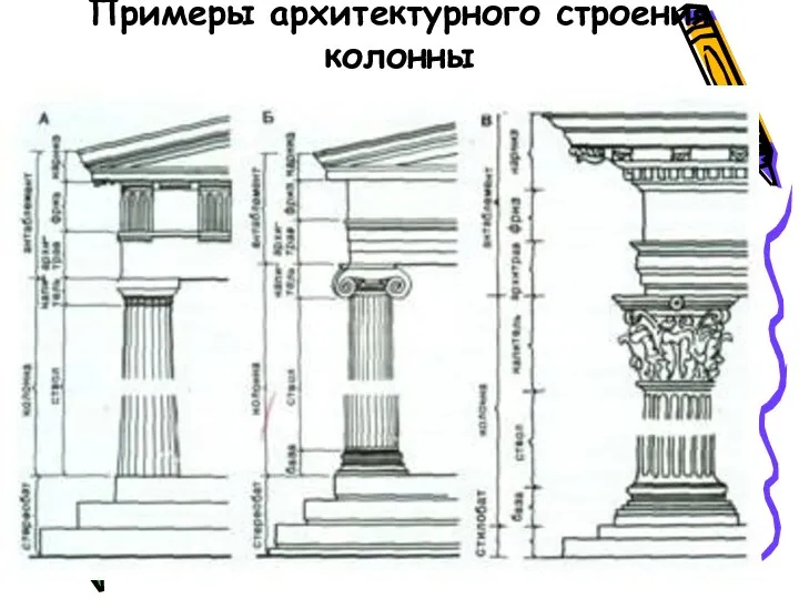 Примеры архитектурного строения колонны