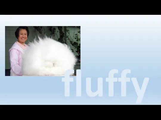 fluffy