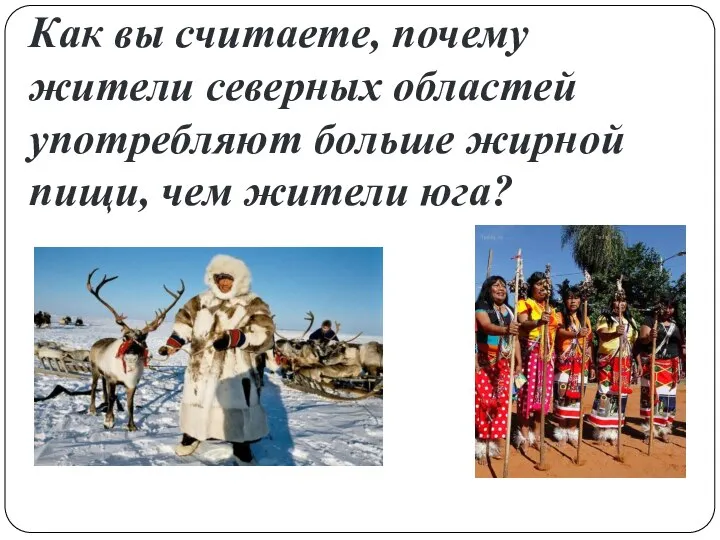 Как вы считаете, почему жители северных областей употребляют больше жирной пищи, чем жители юга?