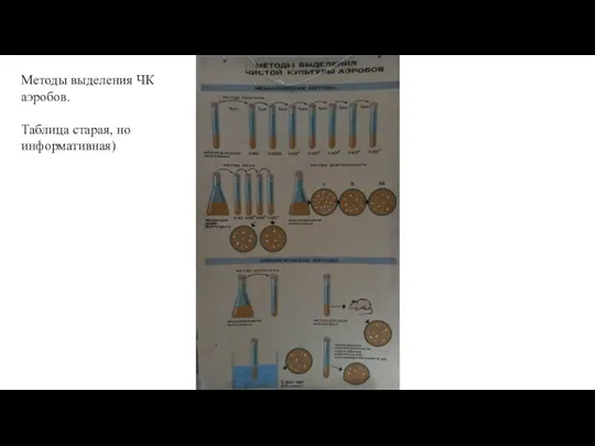 Методы выделения ЧК аэробов. Таблица старая, но информативная)