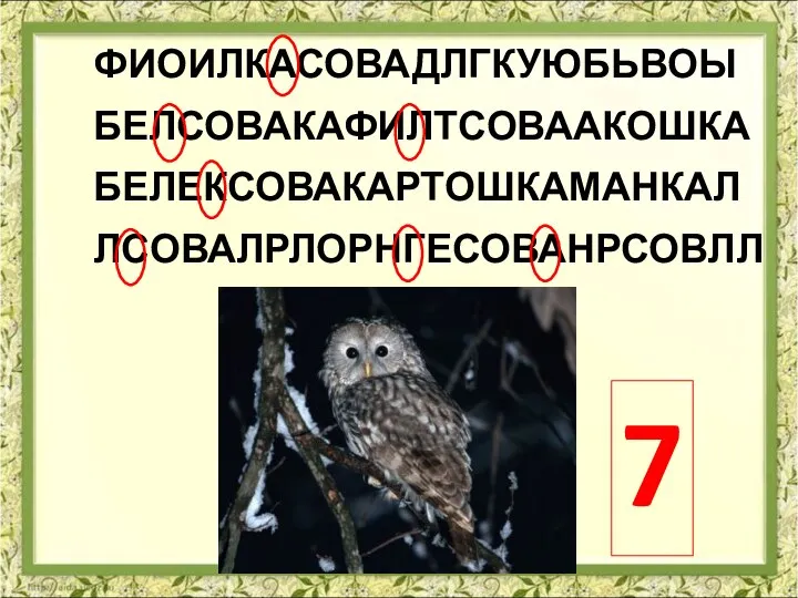 ФИОИЛКАСОВАДЛГКУЮБЬВОЫ БЕЛСОВАКАФИЛТСОВААКОШКА БЕЛЕКСОВАКАРТОШКАМАНКАЛ ЛСОВАЛРЛОРНГЕСОВАНРСОВЛЛ 7