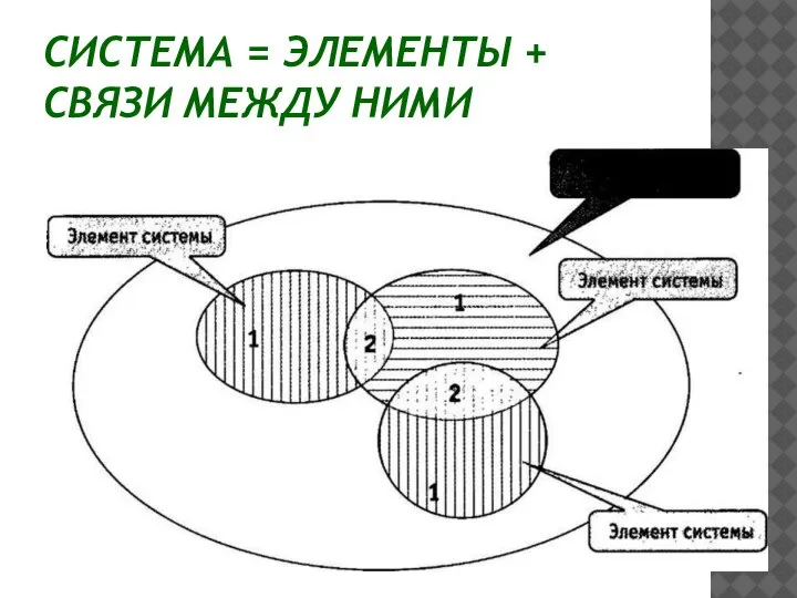 СИСТЕМА = ЭЛЕМЕНТЫ + СВЯЗИ МЕЖДУ НИМИ