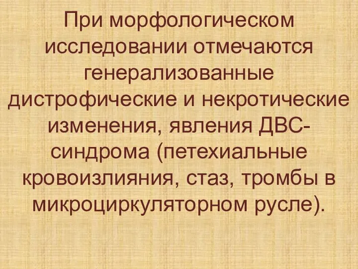 При морфологическом исследовании отмечаются генерализованные дистрофические и некротические изменения, явления ДВС-синдрома (петехиальные