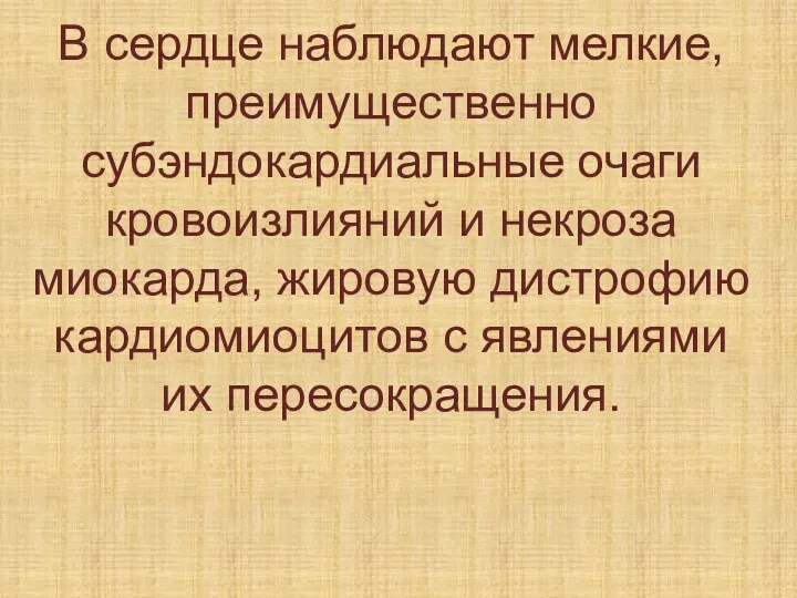 В сердце наблюдают мелкие, преимущественно субэндокардиальные очаги кровоизлияний и некроза миокарда, жировую