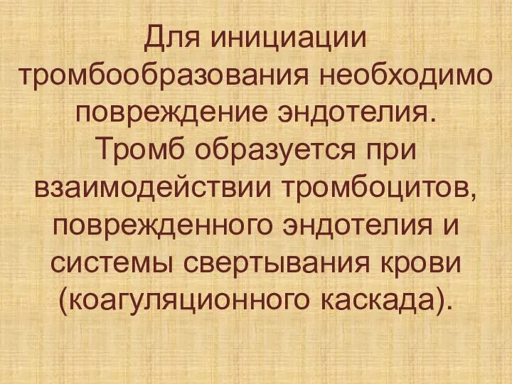 Для инициации тромбообразования необходимо повреждение эндотелия. Тромб образуется при взаимодействии тромбоцитов, поврежденного