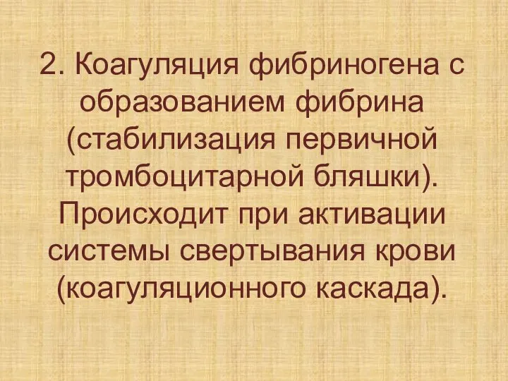 2. Коагуляция фибриногена с образованием фибрина (стабилизация первичной тромбоцитарной бляшки). Происходит при