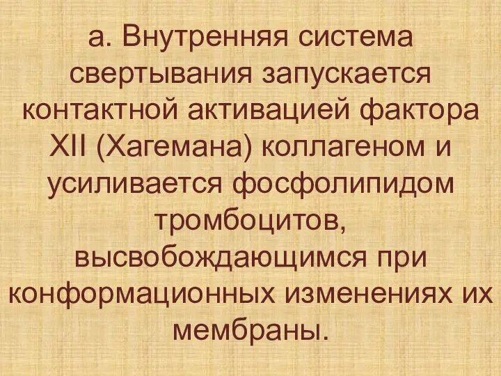 а. Внутренняя система свертывания запускается контактной активацией фактора XII (Хагемана) коллагеном и