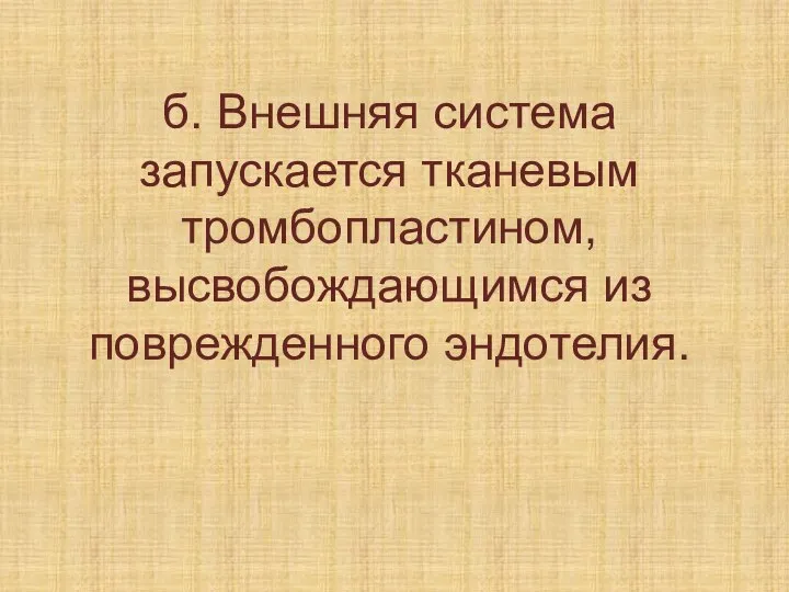 б. Внешняя система запускается тканевым тромбопластином, высвобождающимся из поврежденного эндотелия.