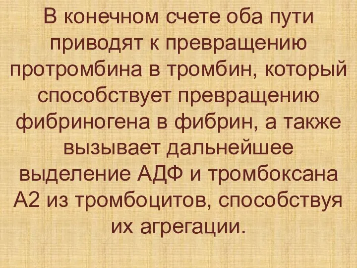 В конечном счете оба пути приводят к превращению протромбина в тромбин, который