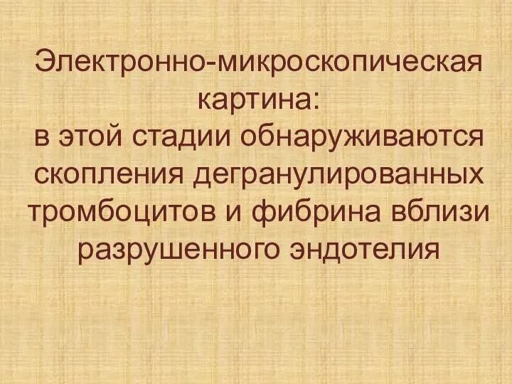 Электронно-микроскопическая картина: в этой стадии обнаруживаются скопления дегранулированных тромбоцитов и фибрина вблизи разрушенного эндотелия