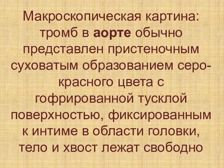 Макроскопическая картина: тромб в аорте обычно представлен пристеночным суховатым образованием серо-красного цвета