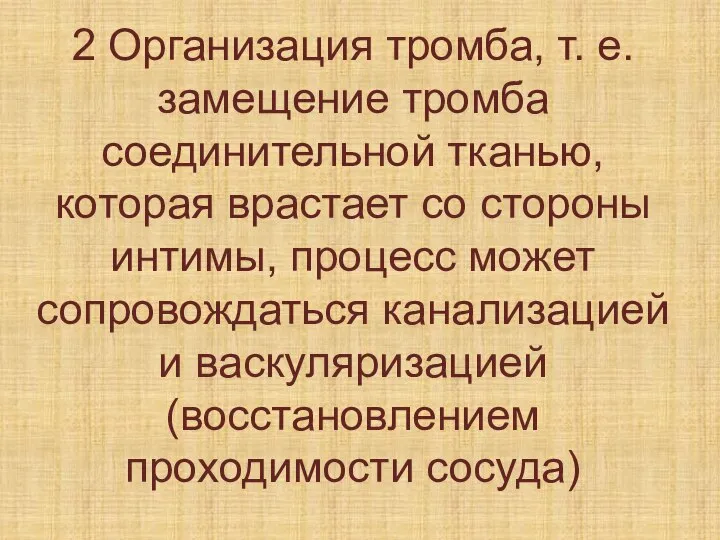 2 Организация тромба, т. е. замещение тромба соединительной тканью, которая врастает со