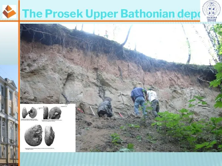 The Prosek Upper Bathonian deposit