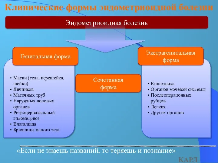 Кишечника Органов мочевой системы Послеоперацонных рубцов Легких Других органов Матки (тела, перешейка,