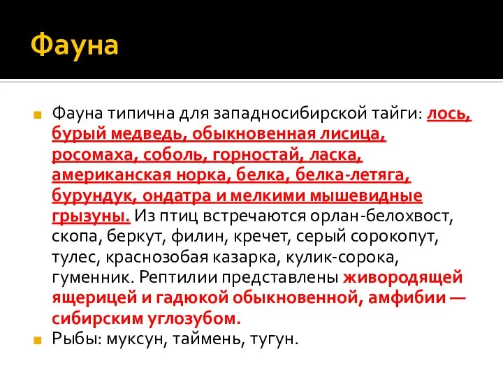 Фауна Фауна типична для западносибирской тайги: лось, бурый медведь, обыкновенная лисица, росомаха,