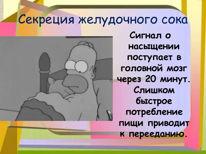 Секреция желудочного сока Сигнал о насыщении поступает в головной мозг через 20