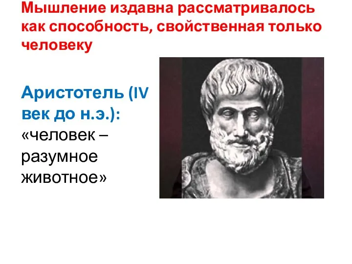 Мышление издавна рассматривалось как способность, свойственная только человеку Аристотель (IV век до