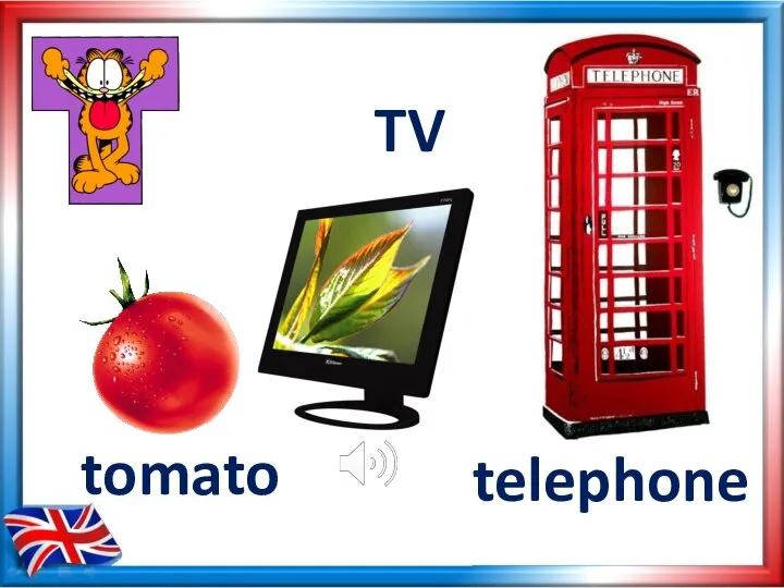 tomato TV telephone