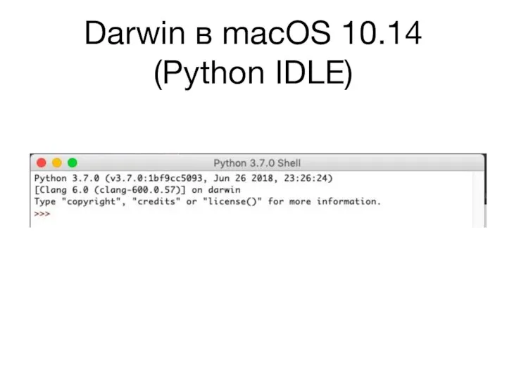 Darwin в macOS 10.14 (Python IDLE)