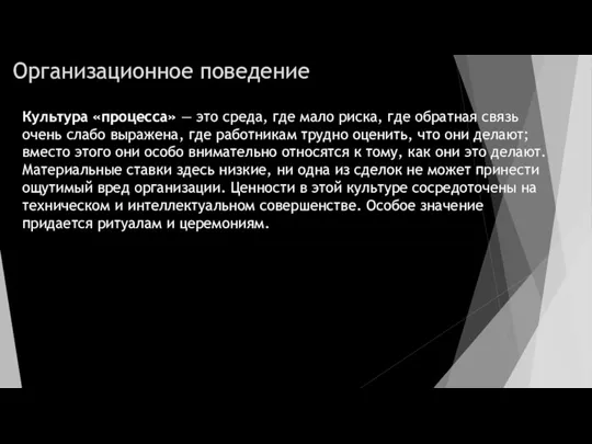 Организационное поведение Культура «процесса» — это среда, где мало риска, где обратная