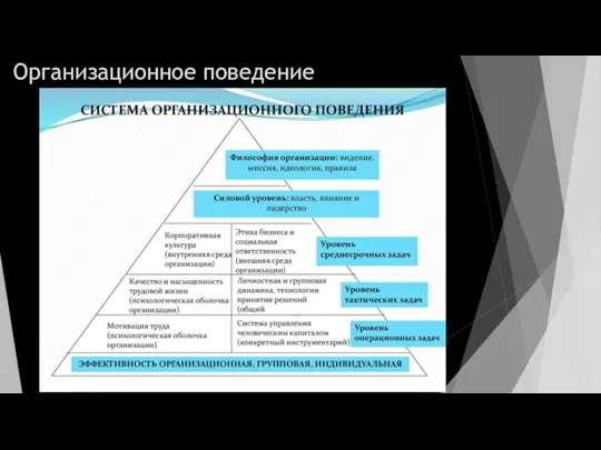 Организационное поведение