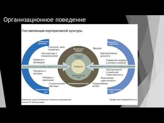 Организационное поведение