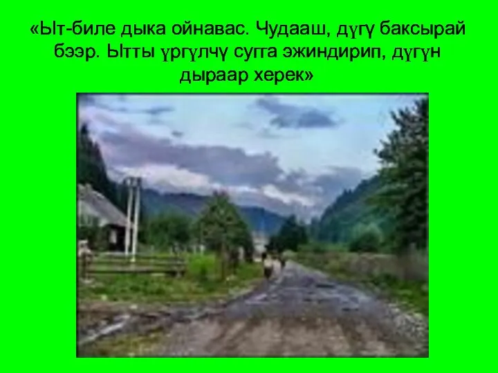 «Ыт-биле дыка ойнавас. Чудааш, дүгү баксырай бээр. Ытты үргүлчү сугга эжиндирип, дүгүн дыраар херек»