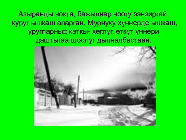 Азыранды чокта, бажыңнар чоогу ээнзиргей, куруг ышкаш апарган. Мурнуку хүннерде ышкаш, уругларныӊ