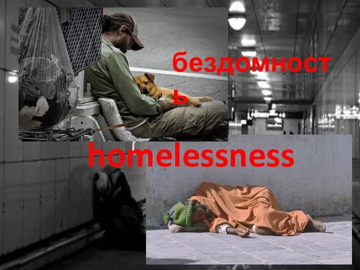 homelessness бездомность