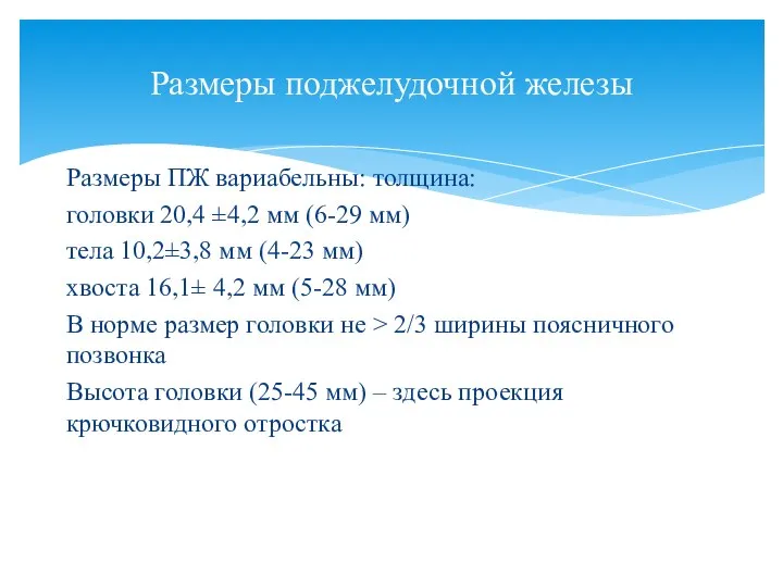 Размеры ПЖ вариабельны: толщина: головки 20,4 ±4,2 мм (6-29 мм) тела 10,2±3,8