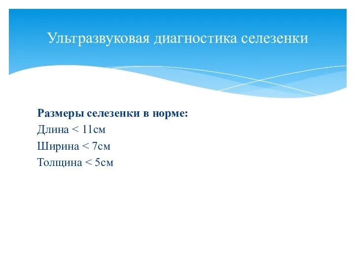 Размеры селезенки в норме: Длина Ширина Толщина Ультразвуковая диагностика селезенки