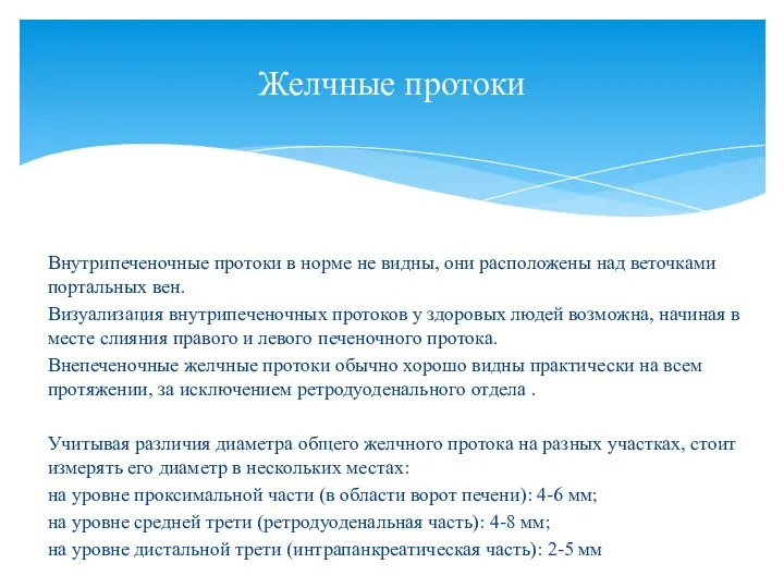 Внутрипеченочные протоки в норме не видны, они расположены над веточками портальных вен.