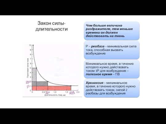 Закон силы-длительности