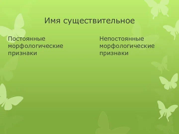 Имя существительное Постоянные морфологические признаки Непостоянные морфологические признаки