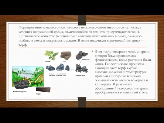 Формирование каменного угля началось несколько сотен миллионов лет назад в условиях окружающей