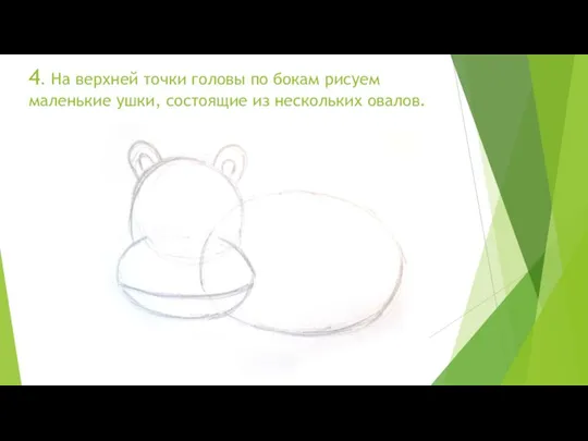 4. На верхней точки головы по бокам рисуем маленькие ушки, состоящие из нескольких овалов.