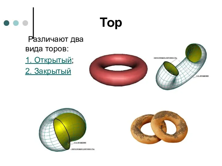 Тор Различают два вида торов: 1. Открытый; 2. Закрытый