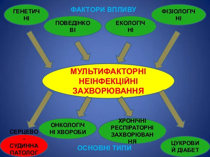 МУЛЬТИФАКТОРНІ НЕІНФЕКЦІЙНІ ЗАХВОРЮВАННЯ ГЕНЕТИЧНІ ФАКТОРИ ВПЛИВУ ФІЗІОЛОГІЧНІ ЕКОЛОГІЧНІ ПОВЕДІНКОВІ ОСНОВНІ ТИПИ СЕРЦЕВО-СУДИННА